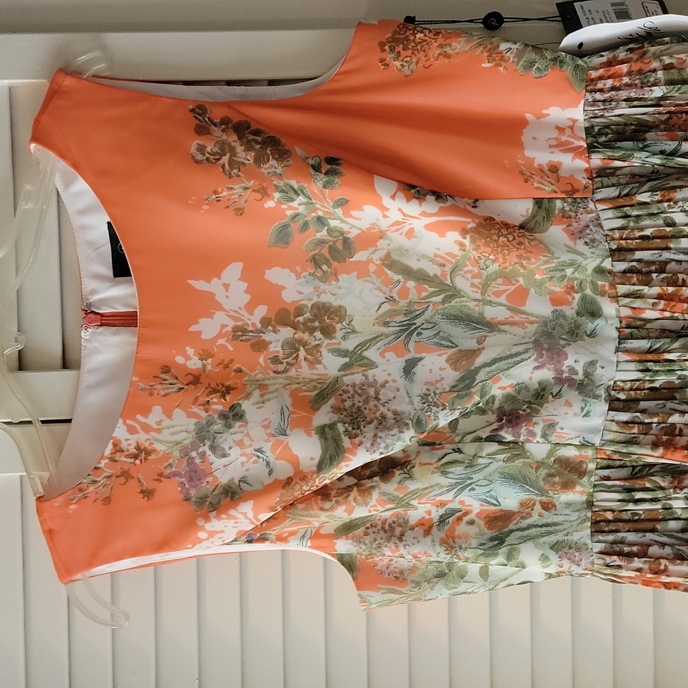 Adrienna Papell Dress - Picture 2 of 7
